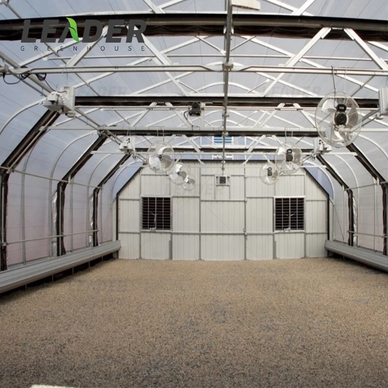 30 x 100 modern light deprivation hemp grow steel pipe plastic cover automatic big greenhouse framework