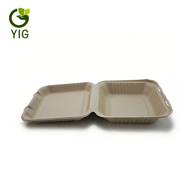 
Compostable Molded Paper Pulp Box Packaging 
