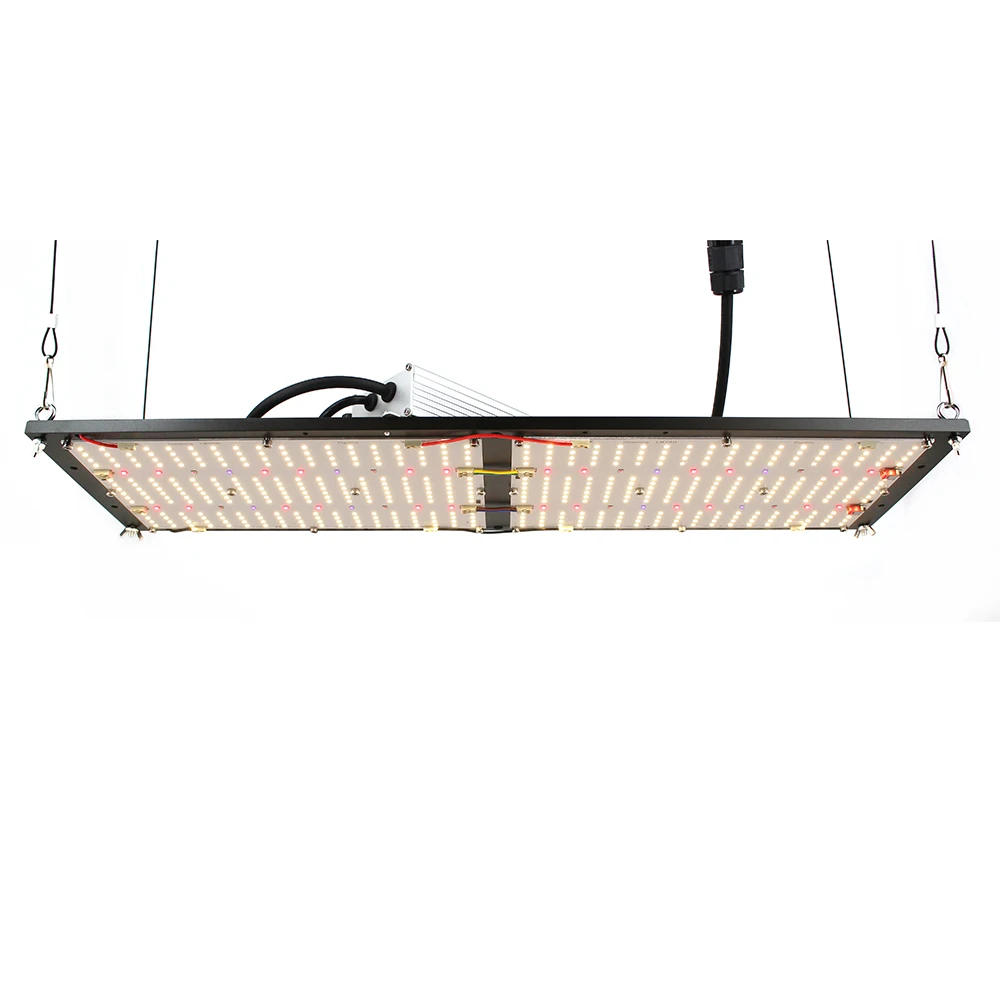 Top Quality FG2000 V5 240W LED Grow Light Powered by LM301H and 660nm 730nm 395nm