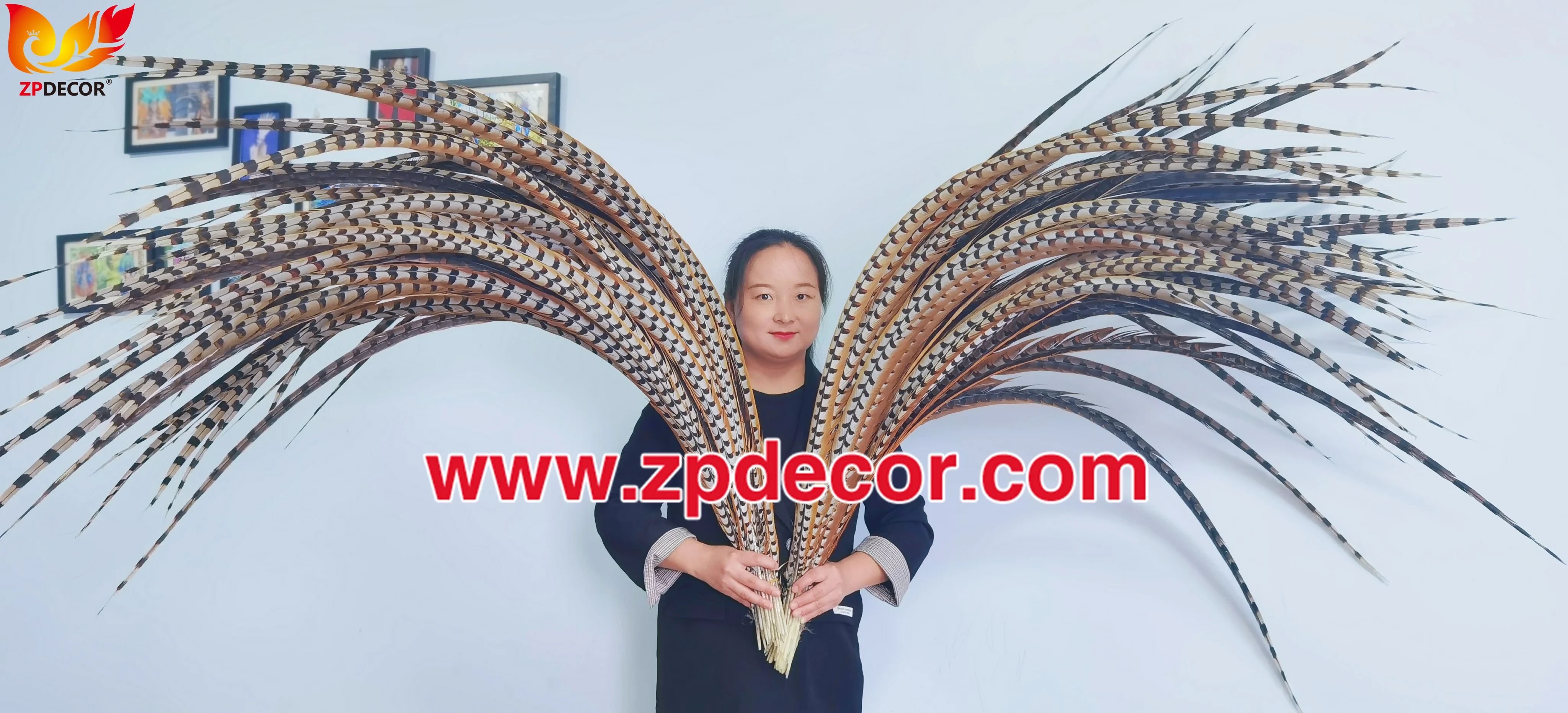 Factory Wholesale from ZPDECOR  150-160 cm Super Long  Natural Reeve Pheasant Tail Feathers for Carnival Costumes