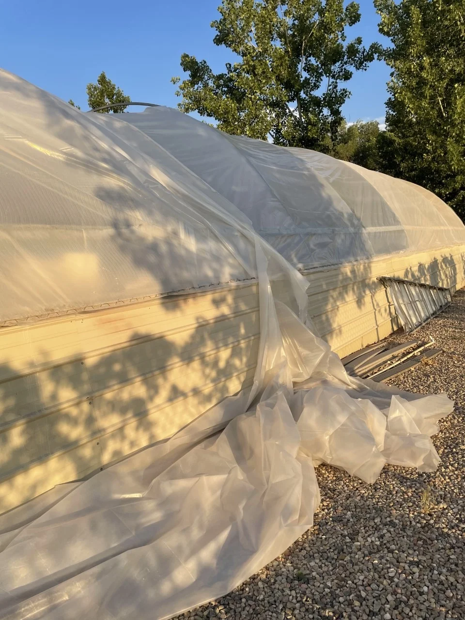 YRH China Manufacturer 4mil poly plastic sheeting roll for construction plastic roof covering polyethylene sheeting roll sheet