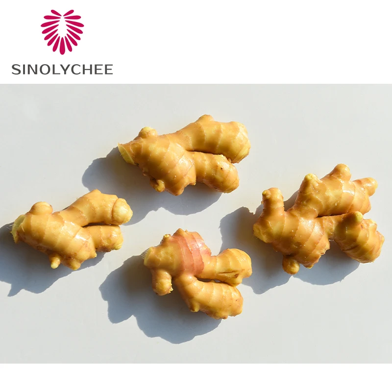 China 100g,150g, 200g, 250g Fresh Ginger Import Wholesale Price