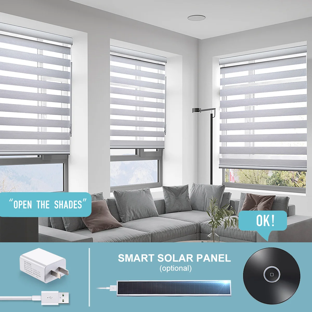 Day and Night Indoor Double Layer Zebra Roller Blinds Motorized Smart Electric Wifi Dual Layer Window Zebra Shade