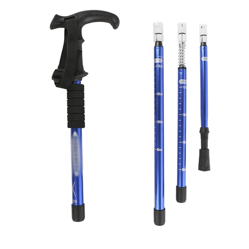 2022 Hot Selling mountain pole Ski Poles Trekking Pole Tip