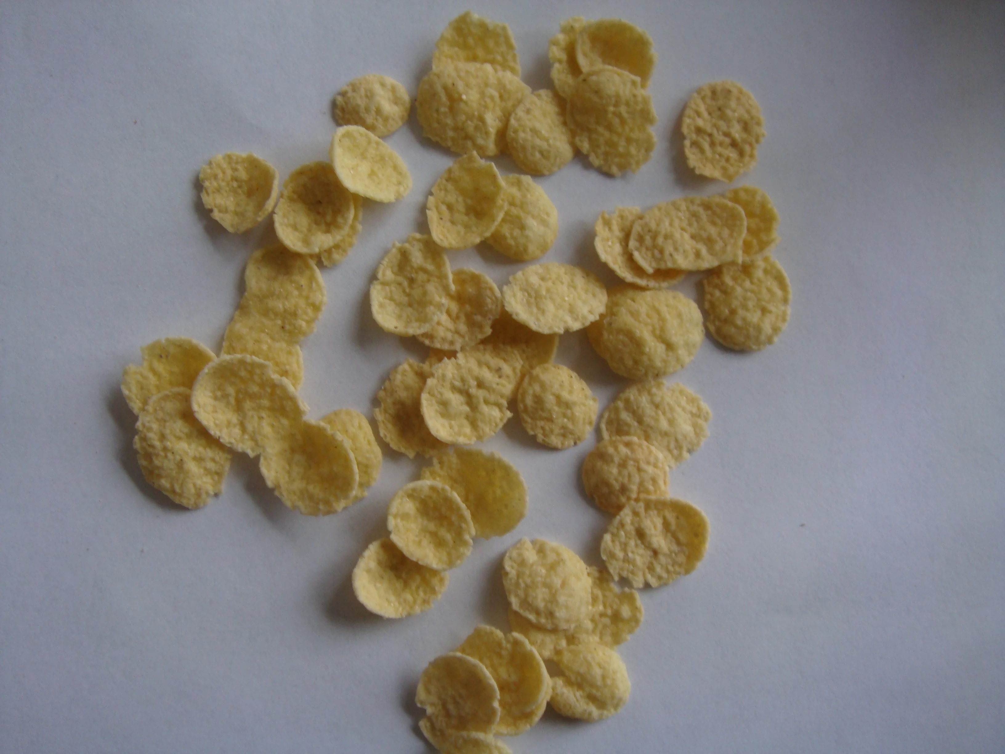 extruder corn flakes.jpg