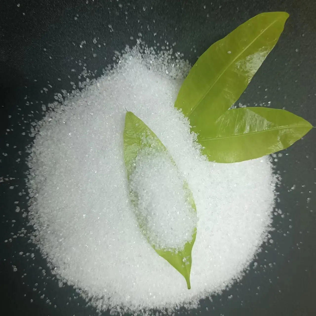 MKP fertilizer mono potassium phosphate 00 52 34  fob price