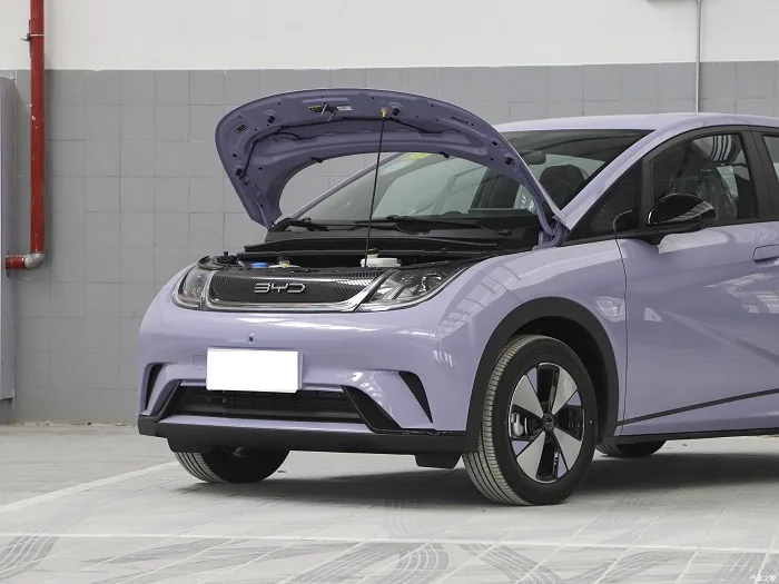 2023 byd автомобильный мини-автомобиль dolphin Экспортер 5*5 чистый ев дешевые цены электромобиль