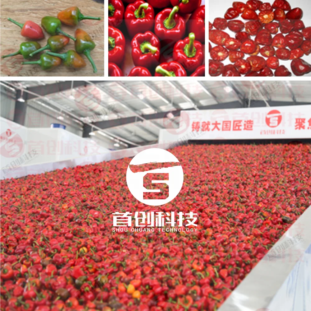 Pimiento dried chillies red paprika cayenne hot pepper drying dryer machine