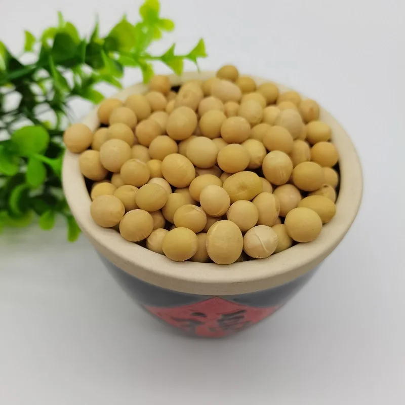 Высококачественные натуральные и без ГМО желтые соевые семена/соевые бобы оптом по низкой цене