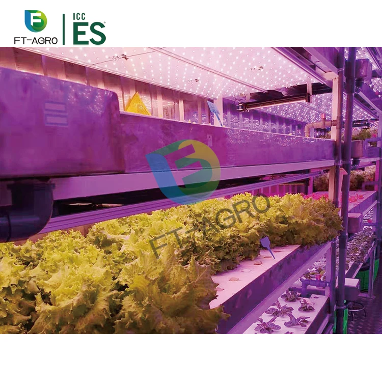 40ft container hydroponic farm greenhouse  smart farm for agricultural microgreen growing