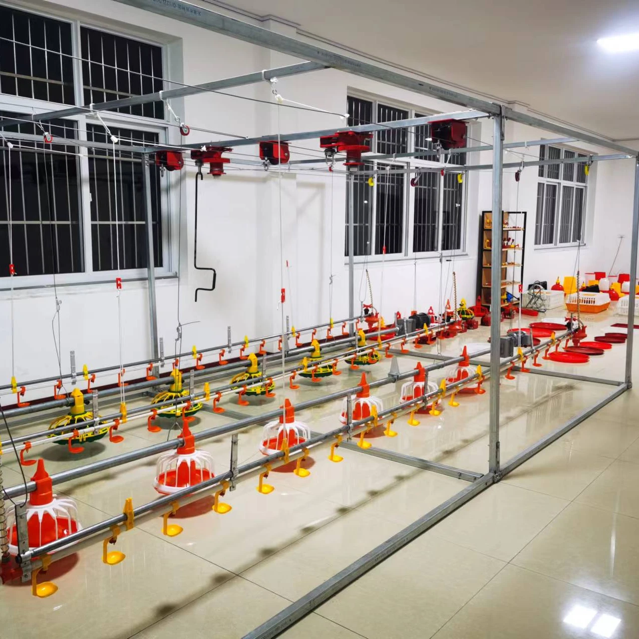 Автоматическая система питья и кормления кур, оборудование для птицеводства