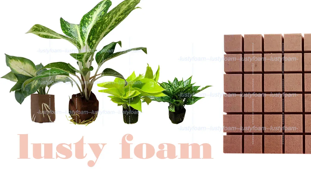 cuttages practice1.jpg