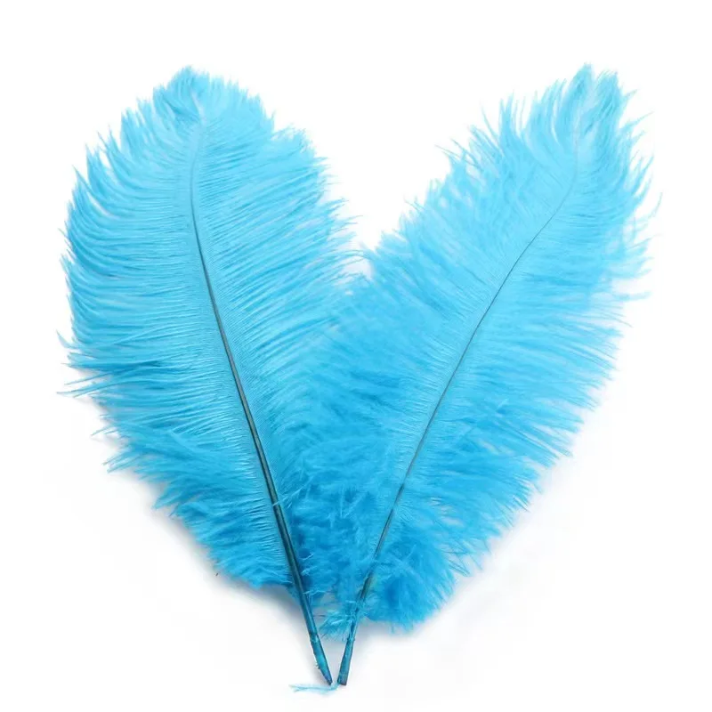 12-14 inch(30-35 cm)100 pcs Assorted colors Ostrich Feathers Plumes for Decoration