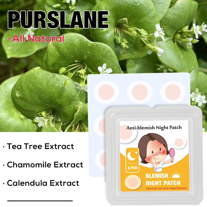 Private Label Rapairing Tea Tree Micro Needle Acne Patch Skincare Acne Treatment Spot Blemish Remover Patches Acne Patch