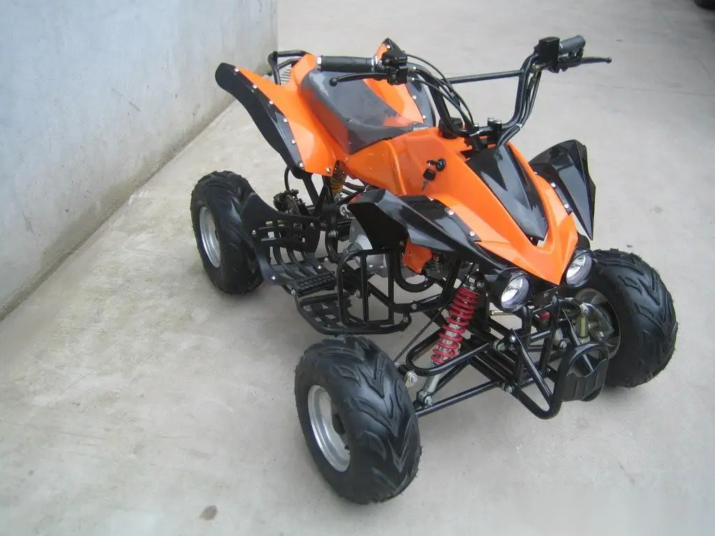 Mini ATV for Adult and Children Good Quality Quad Atv 110CC 125cc 4-stroke OEM 250cc 48V Automatic 250cc Quad Bike /atv ECE 2WD