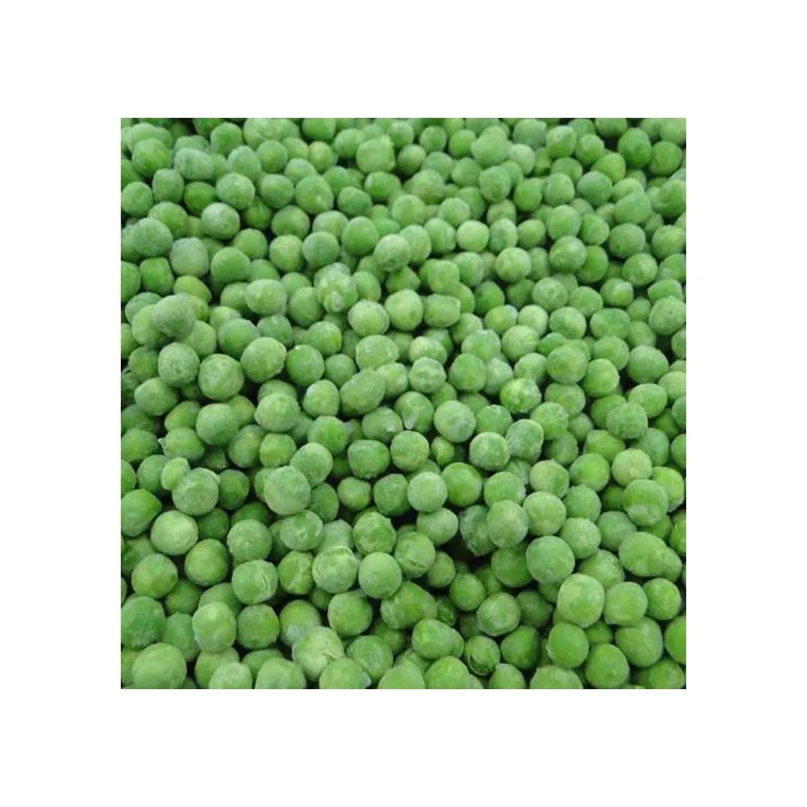 
New crop High Quality IQF frozen green soybeans frozen edamame beans price 
