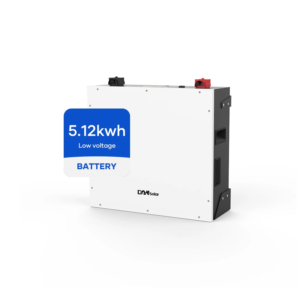 Dyness Bx51100 Portable Lifepo4 Lithium lon Battery 51.2V Rechargeable 10Kw Lithium Batteries 100 200 Amp