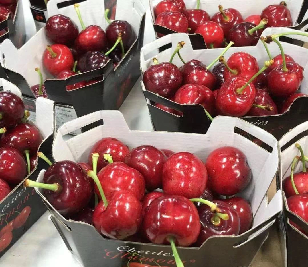 Wholesale Custom Printed Fancy Furit Vegetable Cardboard Paper Boat Tray With PET Lid