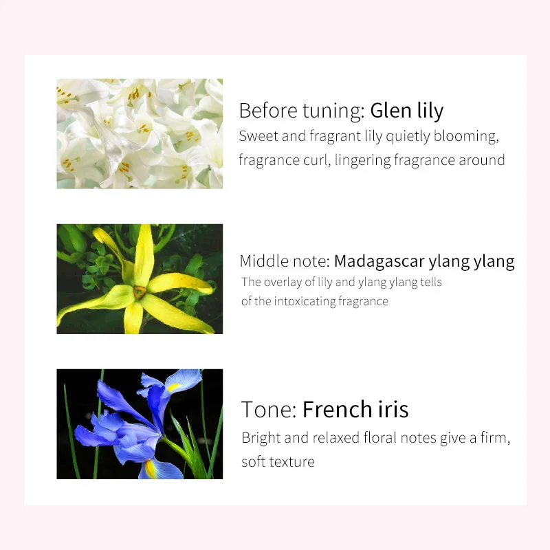 
5ml 10ml 20ml 30ml 50ml 100ml High Quality Odor Removal Spray Perfume body spray oem odm 