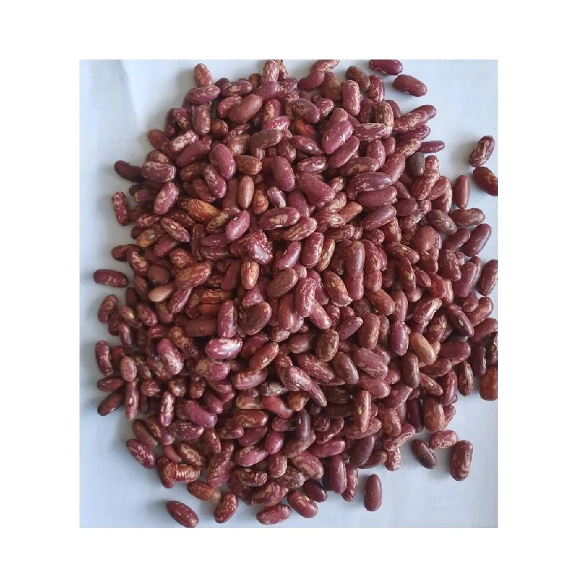 High Quality And Hot Seller Red Speckled Kidney Beans For Wholesale