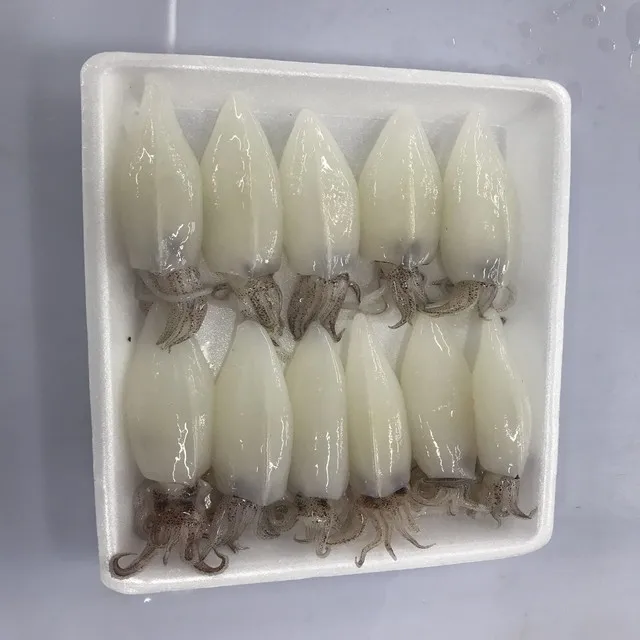 
FROZEN CUT POULP SQUID FROM VIET NAM 