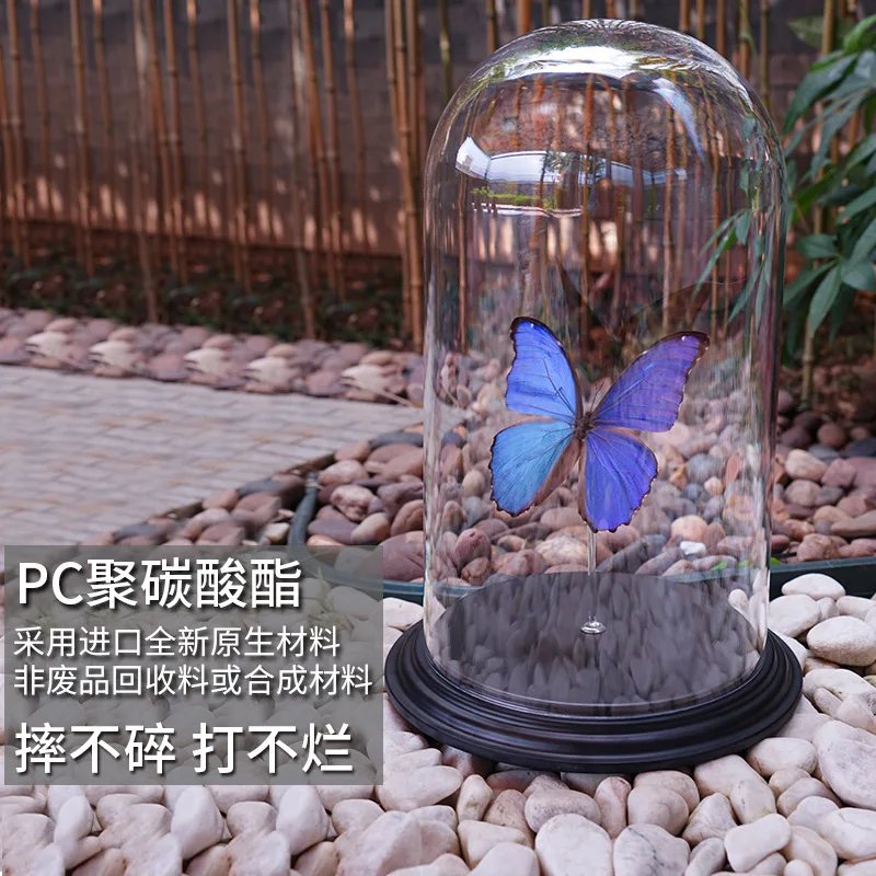 Clear extra large Glass Dome Tabletop Centerpiece Artwork Bell Jar rose Display Case with Black Base
