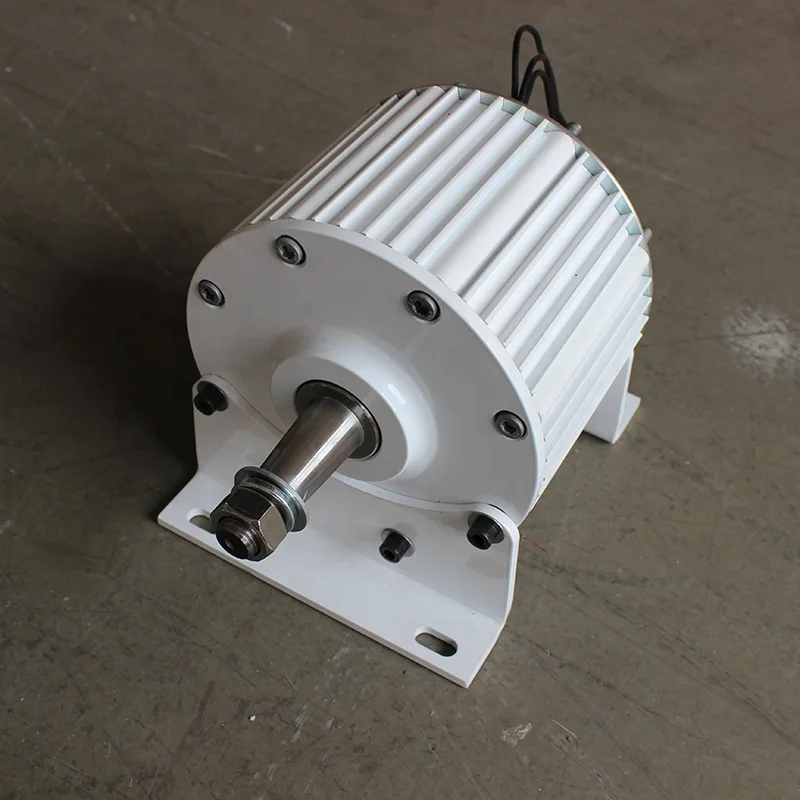Overseas Warehouse Single Shaft 800W/1KW Free Alternative Energy with Excellent Quality Alternator Generator