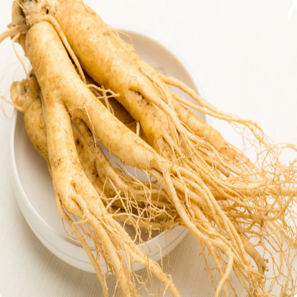 Supply High Quality 99% Panax ginseng extract ginseng powder for ginseng