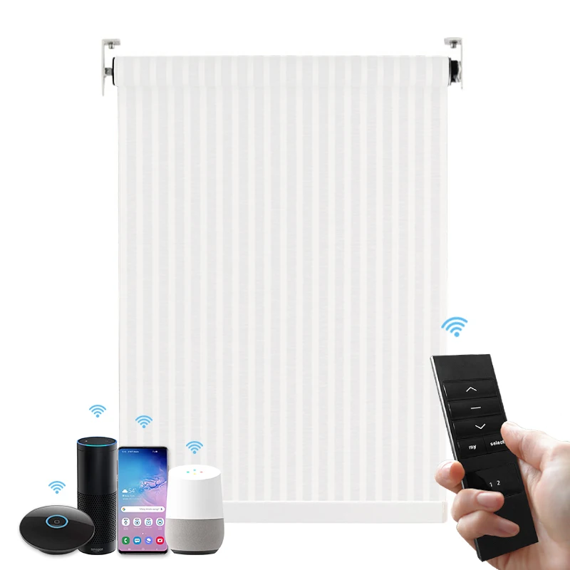 Wintom Factory electric Blackout Window Smart Automatic Auto Automation Motorised Blinds Google Roller Shades Blind