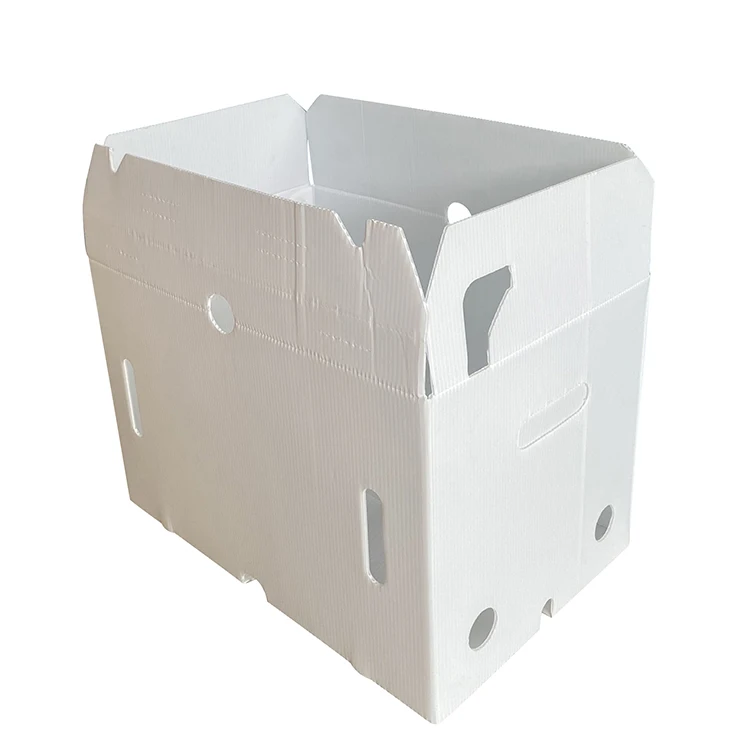 OEM High Quality ODM Hollow Sheet PP Material Storage Box Packaging Contener Foldable Plastic Packaging Box
