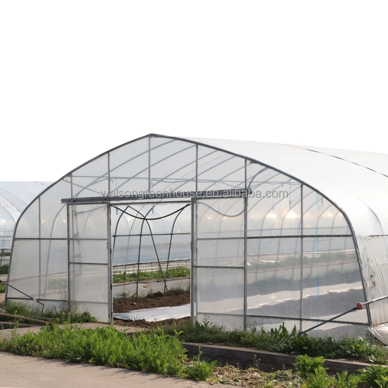 commerical Small Greenhouse Kit for planting vegetables flower growing lower price Greenhouse shed