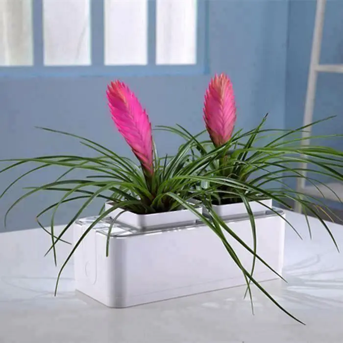 Smart Garden outdoor garden self watering greenhouses structure with hydroponic system