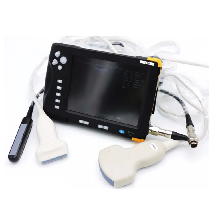 Waterproof pet dog pig sheep cow pregnancy ultrasound scanner veterinary vet ultrasound machine animal ultrasound
