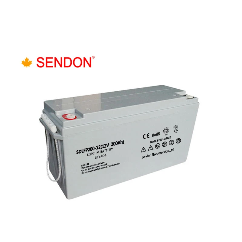 Pack 300ah bms 20ah 50ah 120ah lithium batterie lifepo4 12v 100ah battery
