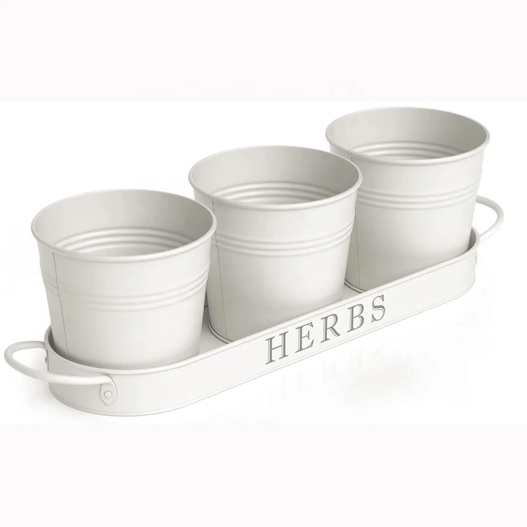 Garden Galvanized Indoor Flower Pot Set Kitchen Herb Pots Planter With Tray