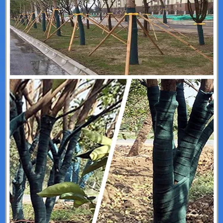 Green Antifreeze Shrub Plants Fruit Tree Trees Trunk Guard Protection Protector Wrap For Warm Keeping