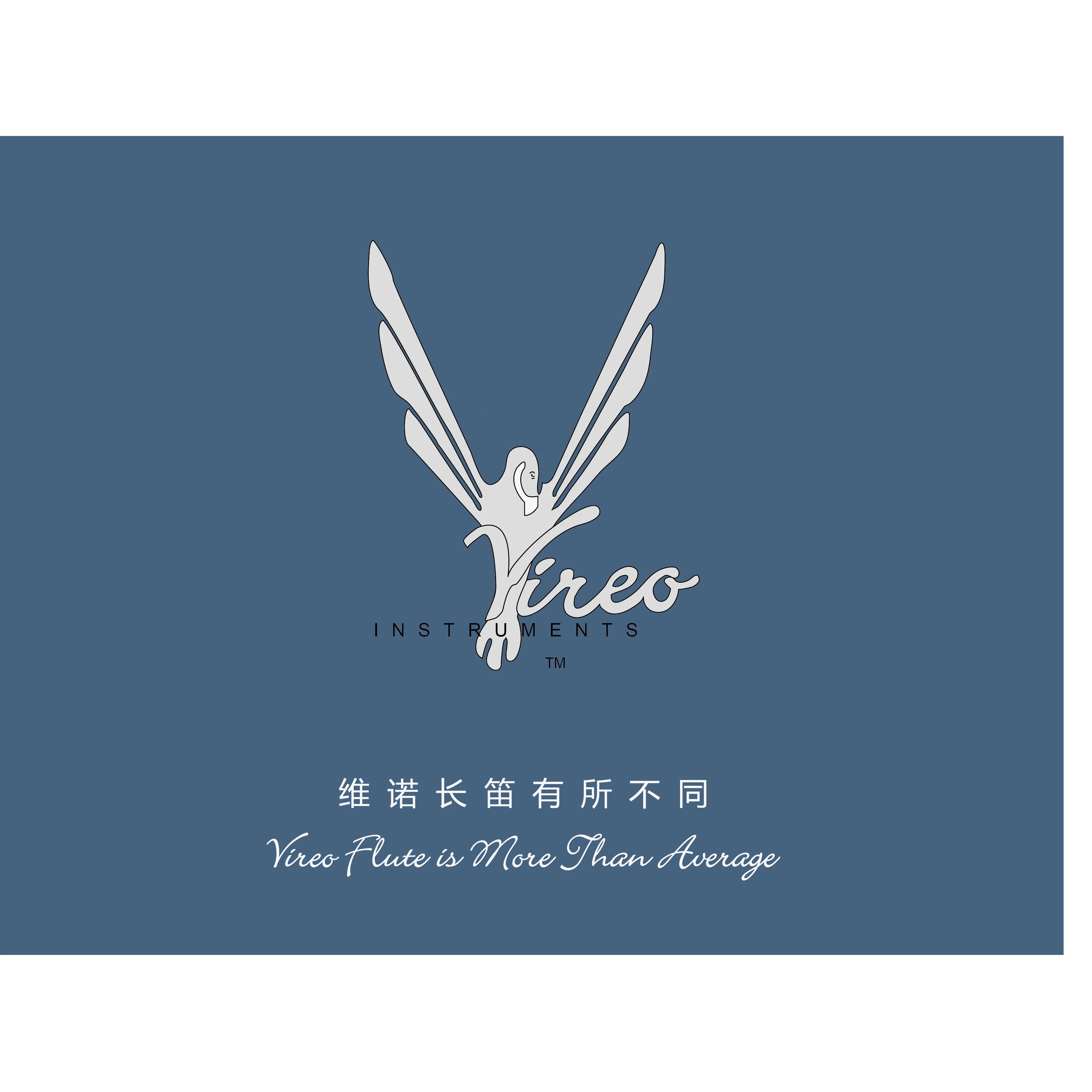 VIREO 2280 FLUTE WOODWIND INSTRUMENT MUSICAL INSTRUMENT STUDENT FLUTE SILVER FLUTE