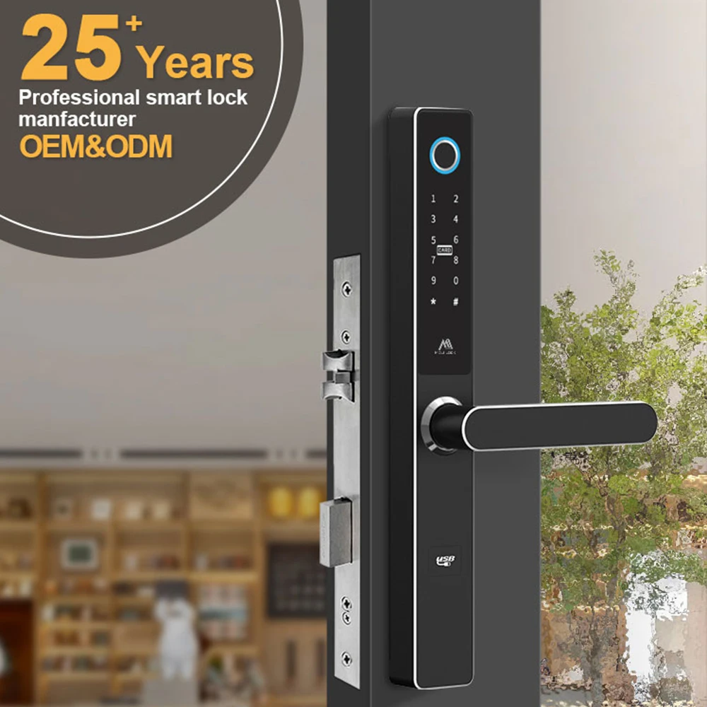 Biometric Fingerprint Intelligent Digital Smart Door Lock Digital Keypad Door Lock