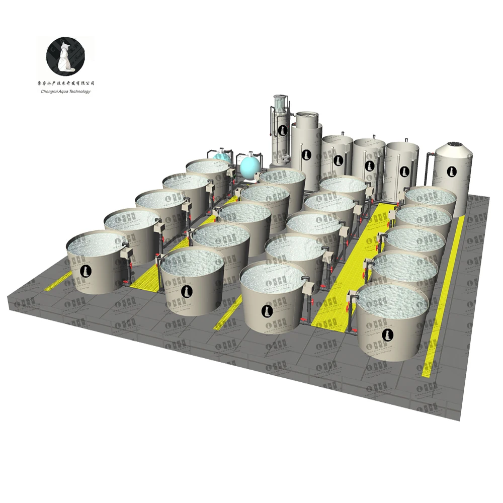 CATAQUA Integrated Modern Fish Shrimp Farm RAS System Recirculating Aquaculture