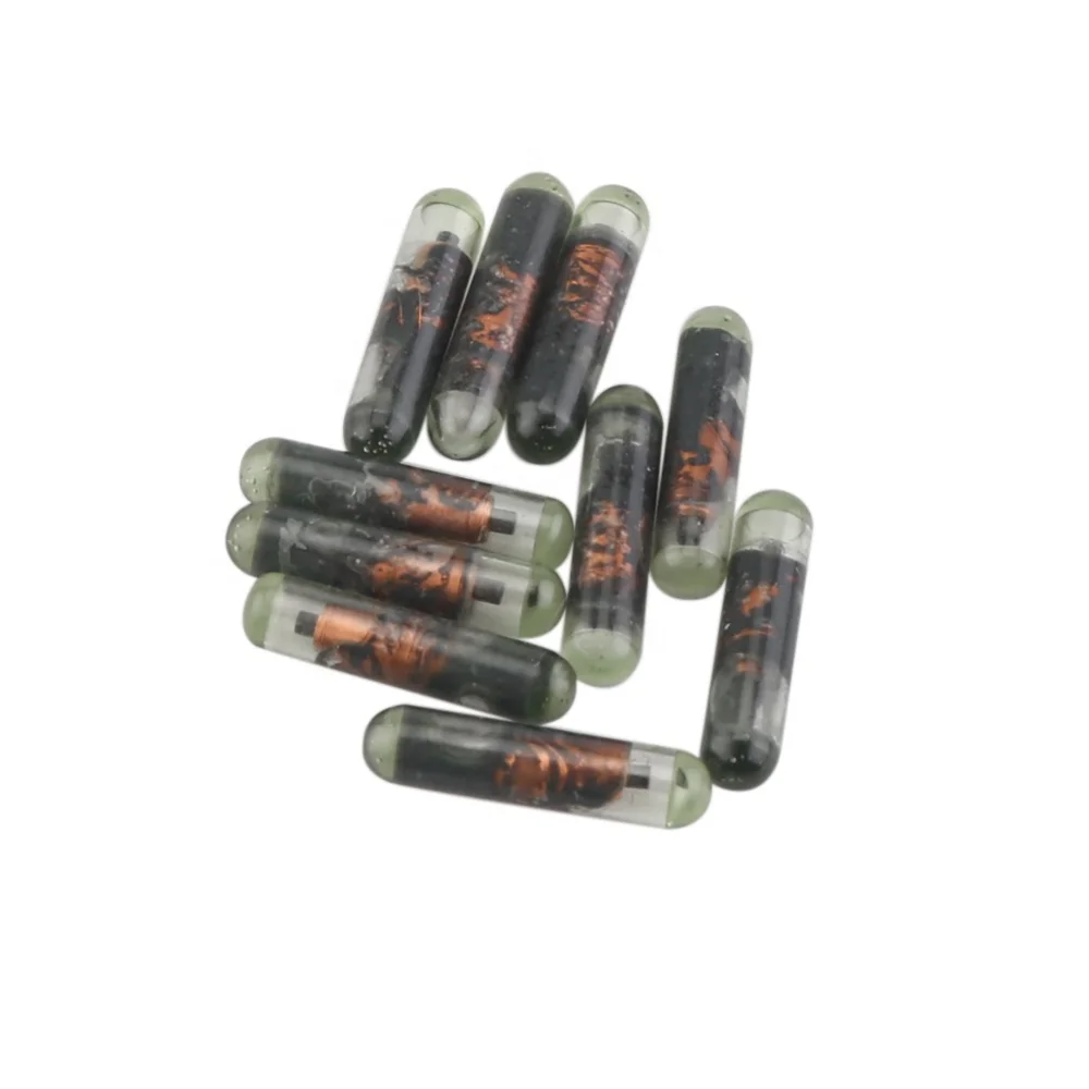 Blank ID48 Glass Chip Car Key Transponder Chip for Remote Key (Unclonable)