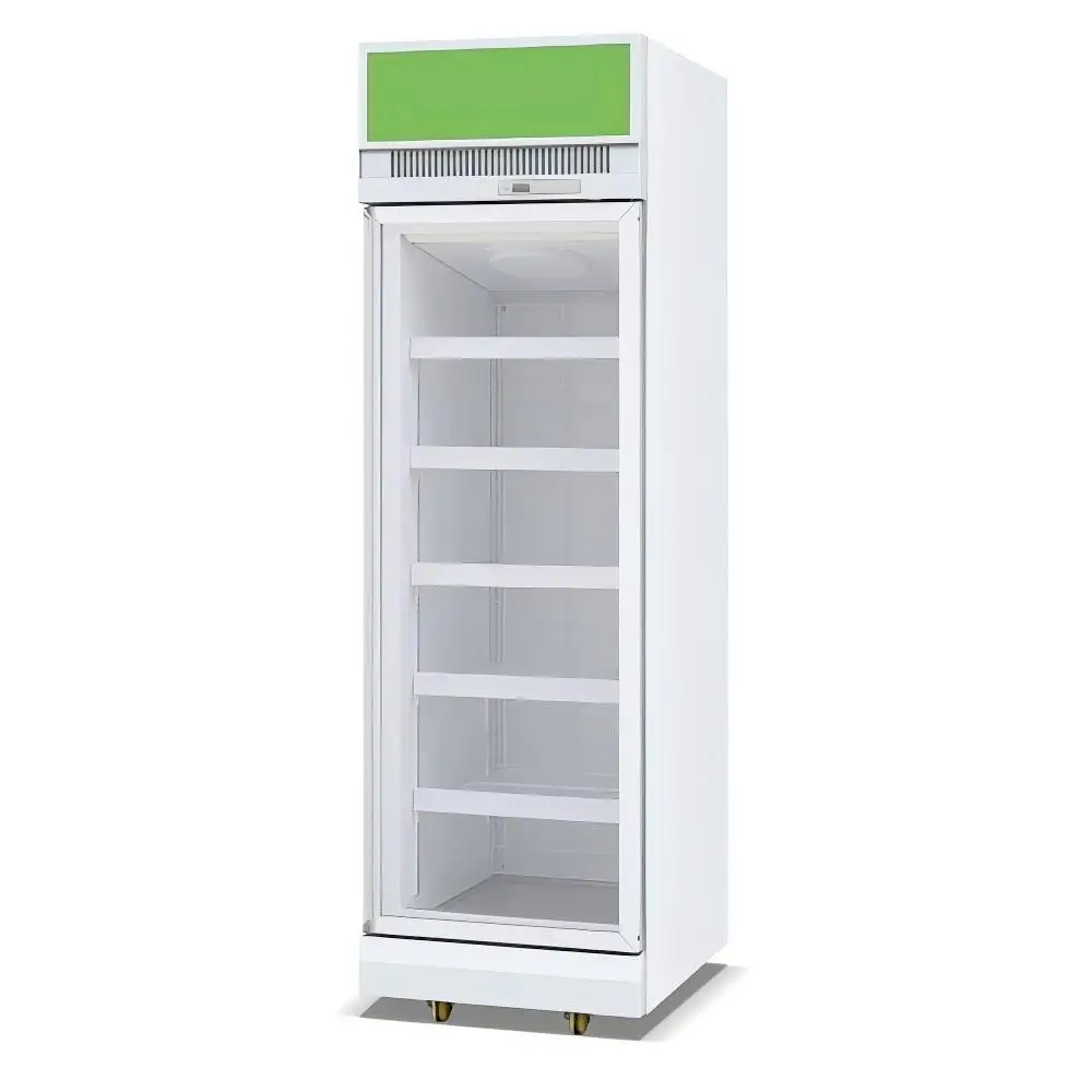 Commercial Upright LED-Light Beverage & Ice Cream Display Freezer Vertical Refrigerator with Glass Door for Supermarket Shop Use