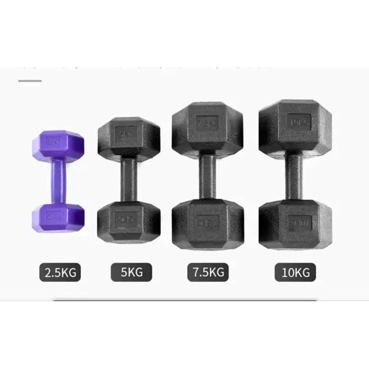 Popular new dumbbell fitness equipment environmental protection PVC hexagonal dumbbell 10kg