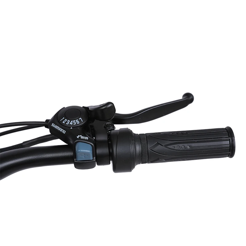 Dropship Smlro Electric Retro ebike Motor Cargo E Bike 7 Speed 20inch Fat tire Snow Bike 48V 1000W 18AH Bicycle For Adult Man