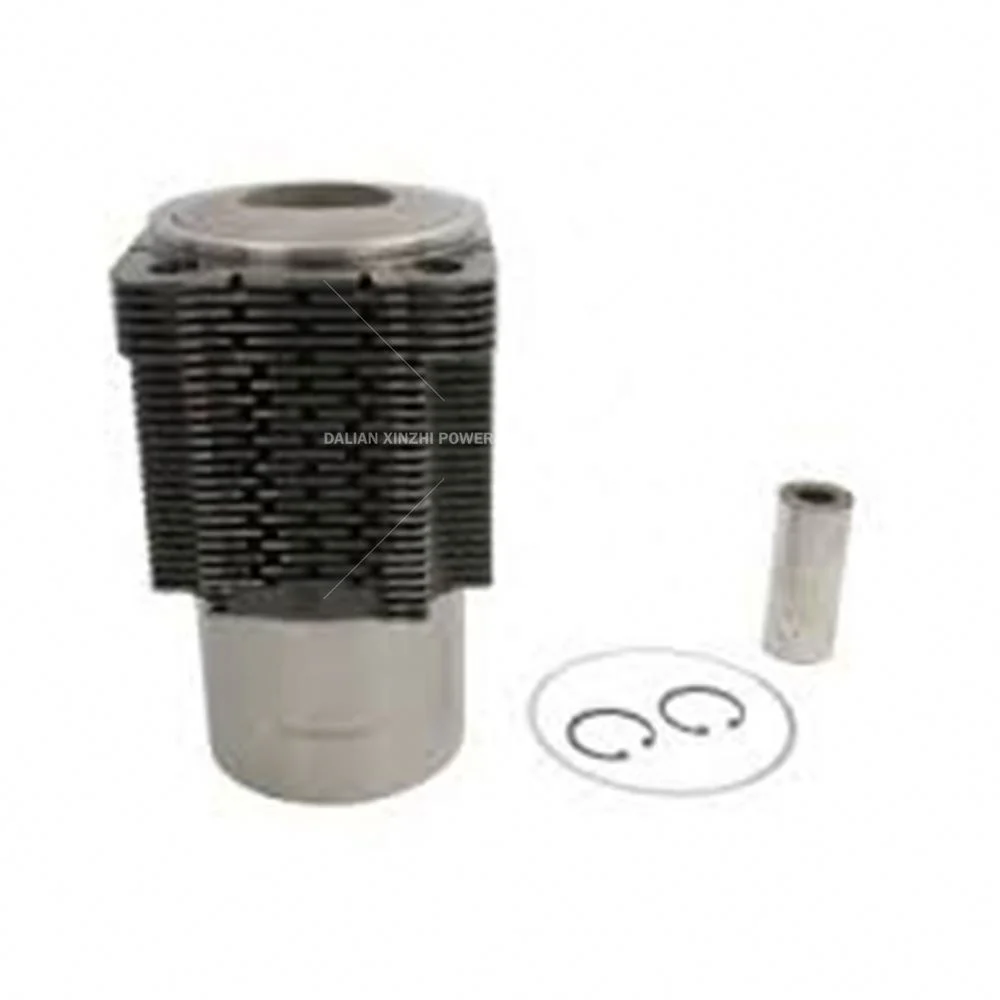 99343960 ,02137488, 02139501, 02231928 promotion diesel engine auto part piston and cylinder KIT For deutz FL913