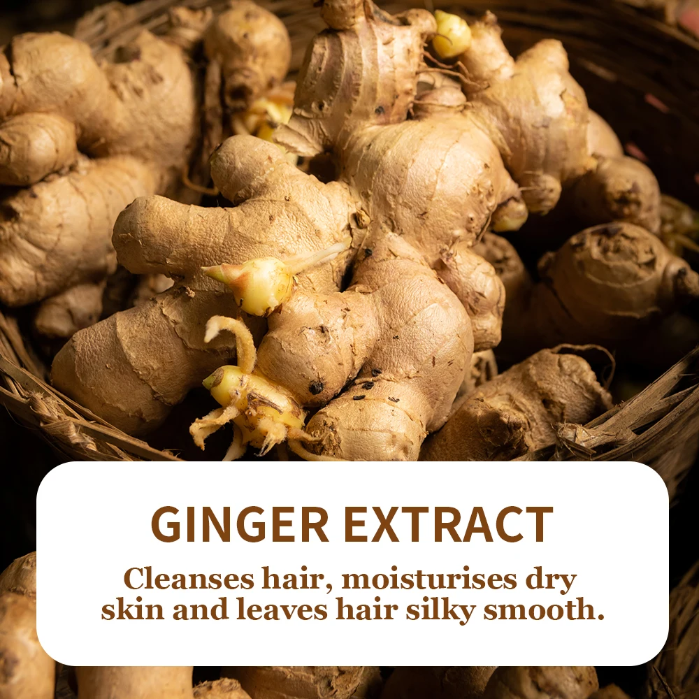 Organic Nourishing Chinese Hair Oil Ginger Essential Oil for Damaged Hair Herbal Moisturizing Hair Growth Oil