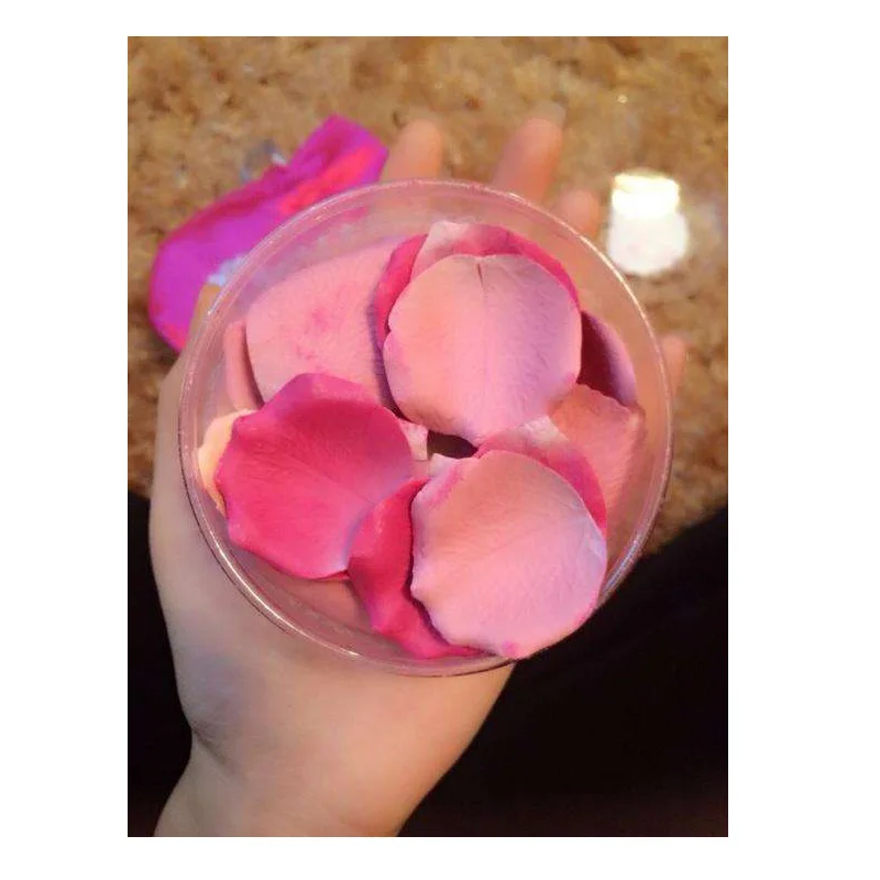 Hot Sale Blush Palette Private Label Korean Waterproof Long Lasting Blusher Makeup Face Rose Petals Blush