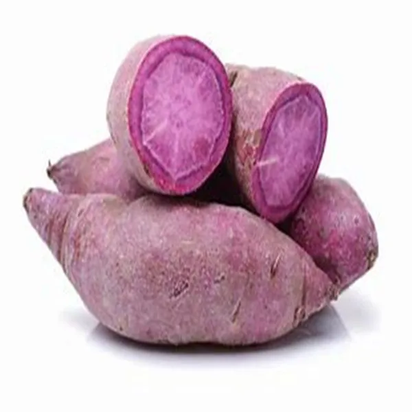 
No pigment added organic green factory bulk freeze dried purple potato 