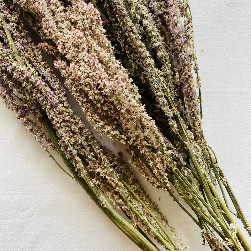 
2021 New Flower Shop Popular Yunnan Hot-selling Dried Amaranth For Wedding Home Decoration 