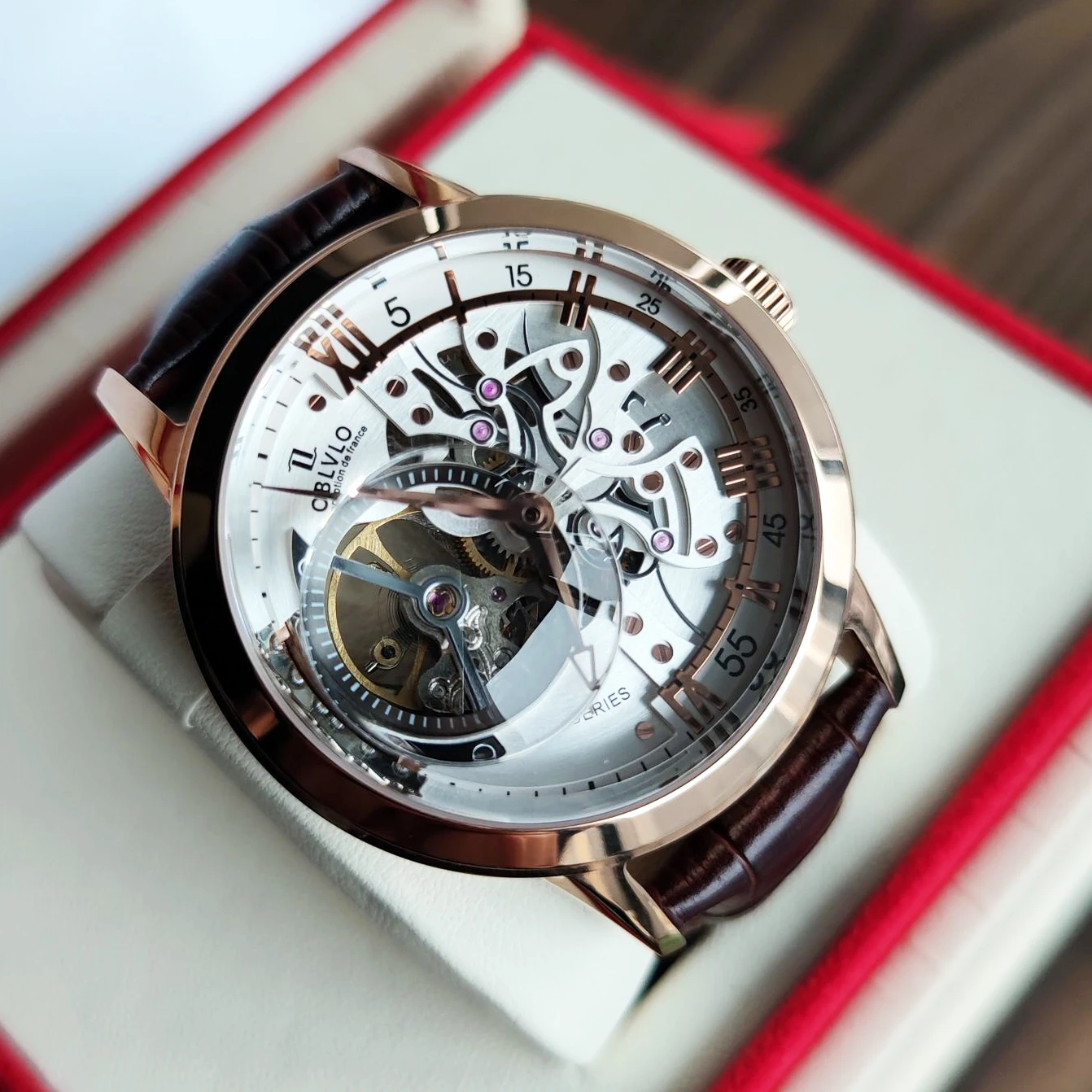 
OBLVLO Casual Watches Men Skeleton Dial Calfskin Leather Band Rose Gold Watches Automatic Watches for Men Montre Homme VM 1 