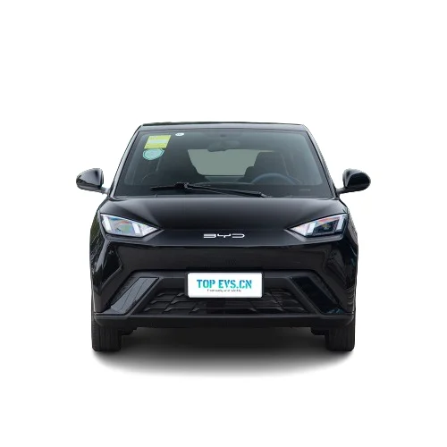 2025 Byd sagull Suv электромобиль хэтчбек 4-местный с 4wd автоматической коробкой передач Гибридный литиевый аккумулятор 305 км дальность действия Бесплатная версия